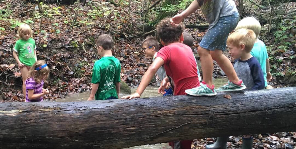 kindergarten students climbing natural log bridge over creek